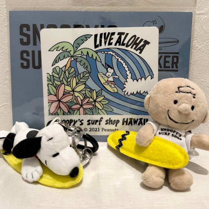 peanuts-hawaii-surf-shop-charlie-brown-white-tee-mascot-holder-keychain