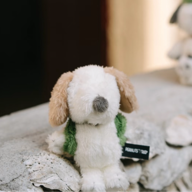 peanuts-x-shandmoo-andy-chengdu-exclusive-mascot-holder-keychain